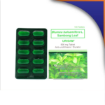 URISAM SAMBONG TABLET - 500MG